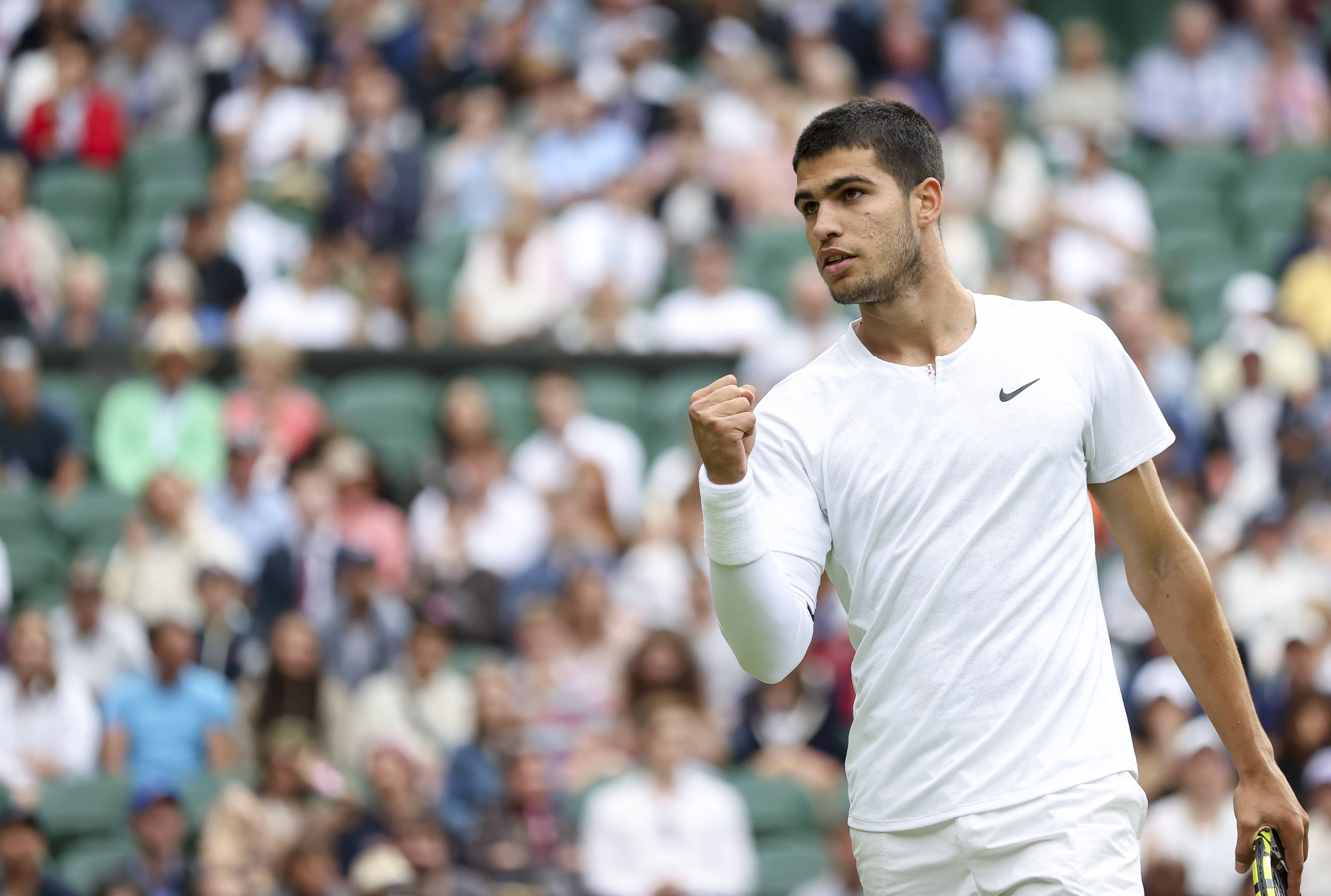 引进了一位 引进了一位