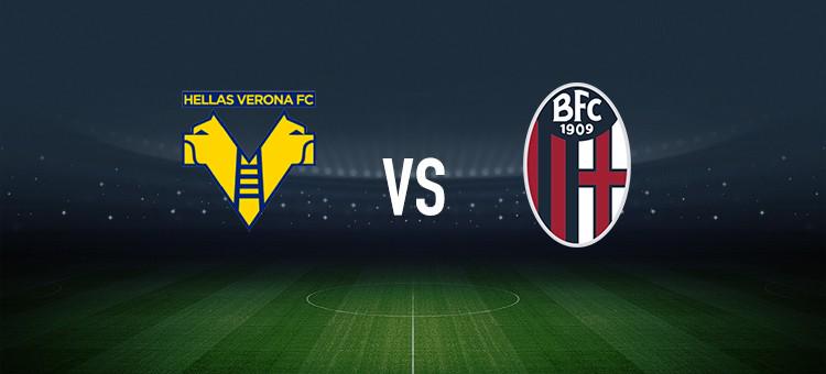 创业赛道中 创业赛道中